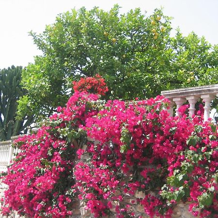 Villa Ca Dei Conti San Bartolomeo Al Mare Zimmer foto